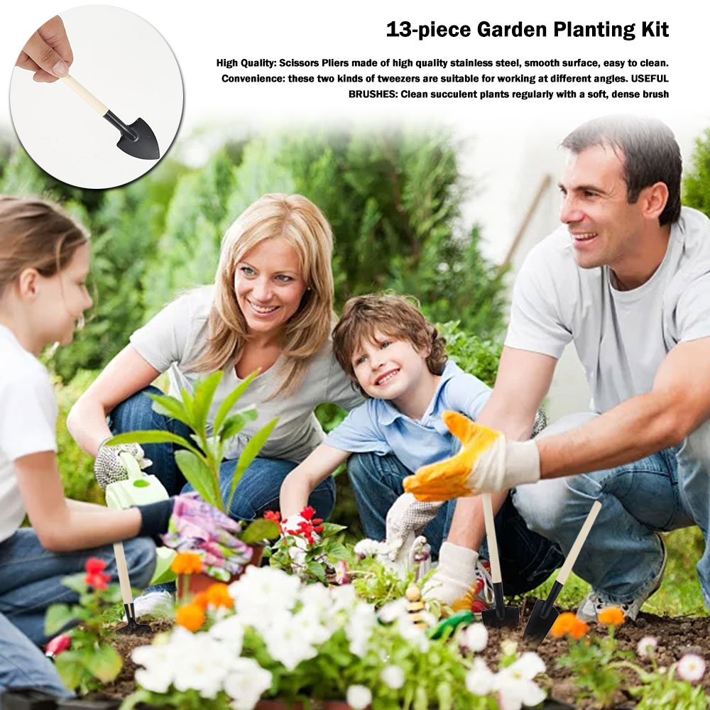 Sukkulenten Werkzeuge Mini Gar – Succulent Set Bewertung und Preis