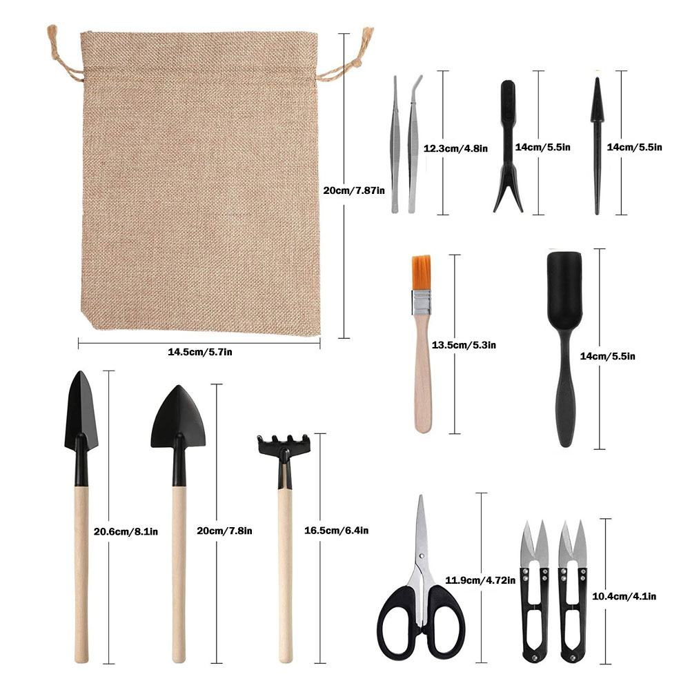 Sukkulenten Werkzeuge Mini Gar – Succulent Set Bewertung und Preis