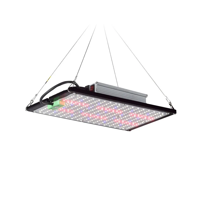 LED-Quantum-Board-Pflanzenlamp – Indoor Plants Bewertung und Preis