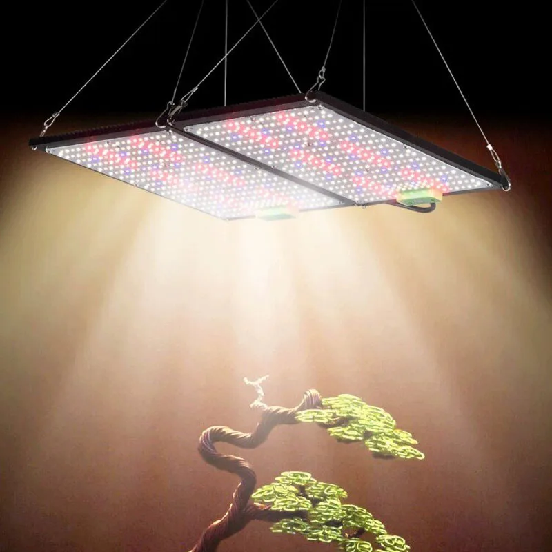 LED-Quantum-Board-Pflanzenlamp – Indoor Plants Bewertung und Preis