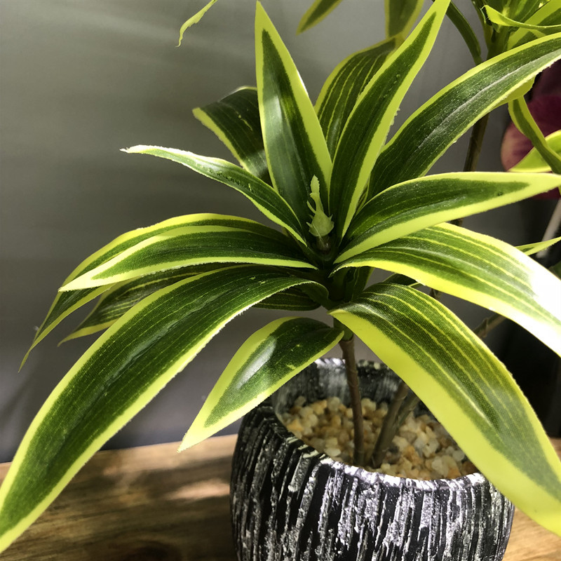 35CM 3 Gabel Künstliche Deskto – Snake Plant Bewertung und Preis