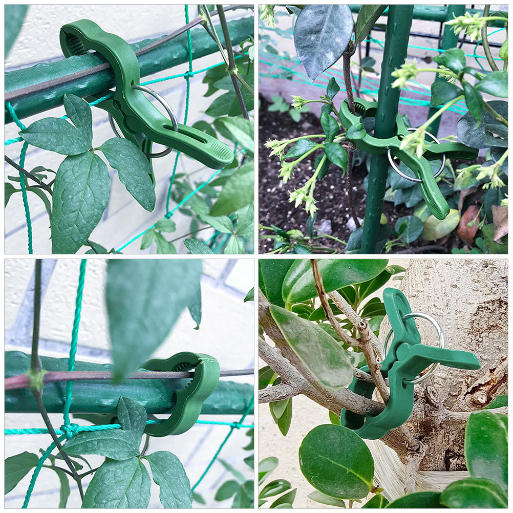 60 Stück Pflanzenstützklammern – Plant Support Stake Bewertung und Preis