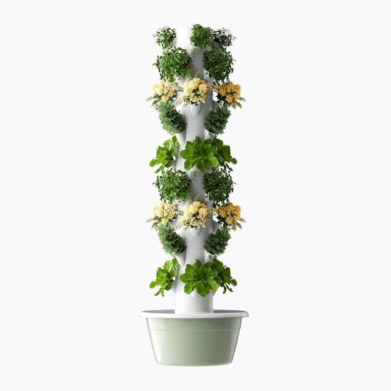 Vertikaler Hydroponischer Anba – Pothos Bewertung und Preis