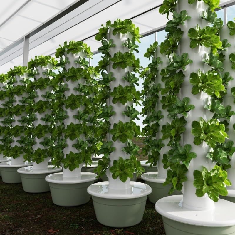 Vertikaler Hydroponischer Anba – Pothos Bewertung und Preis